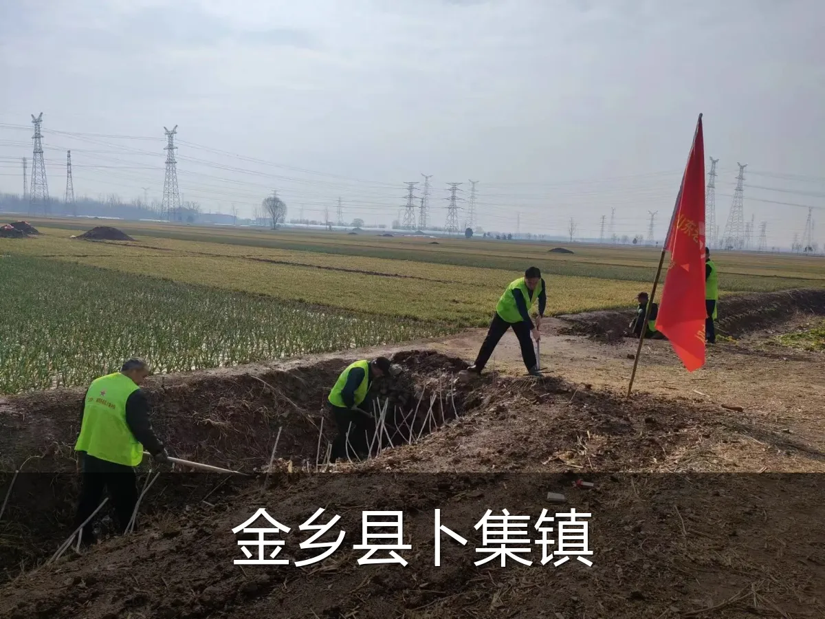金乡县卜集镇
