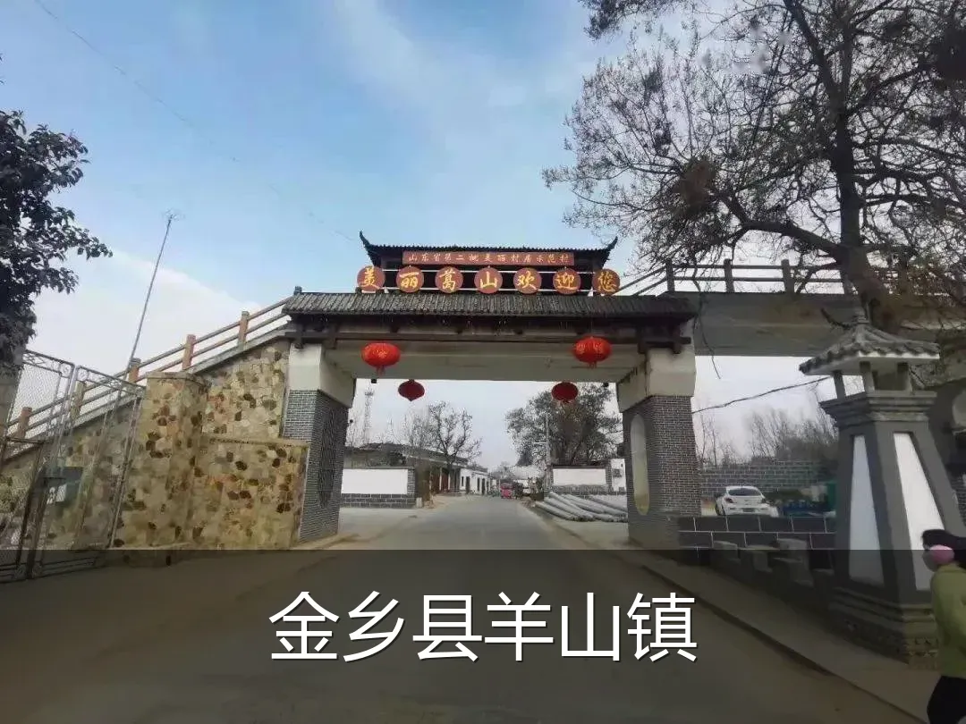 金乡县羊山镇