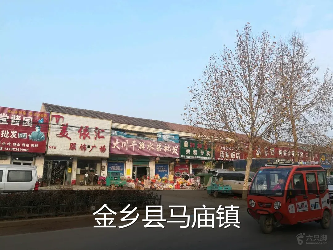 金乡县马庙镇
